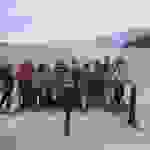 mir1