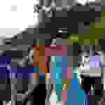mir4