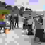 mir