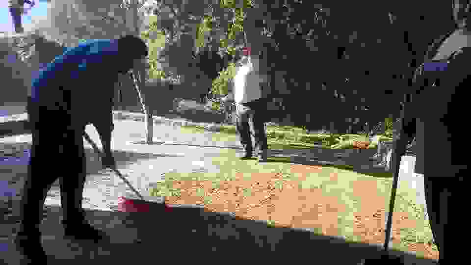 mon7