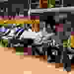 pap2