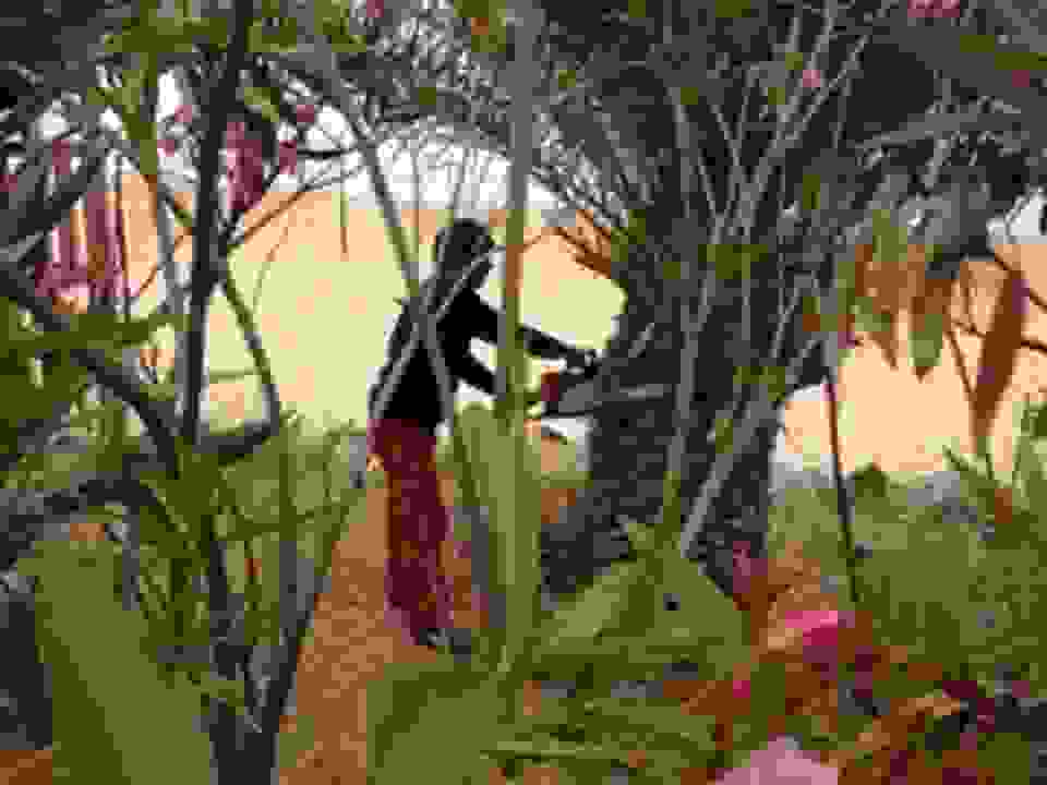 pl5
