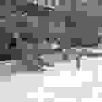 pl6