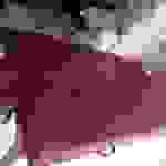 raptis1