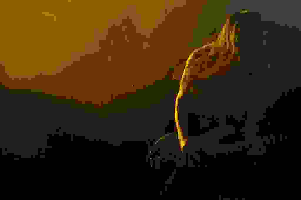 sa1