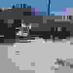 sam