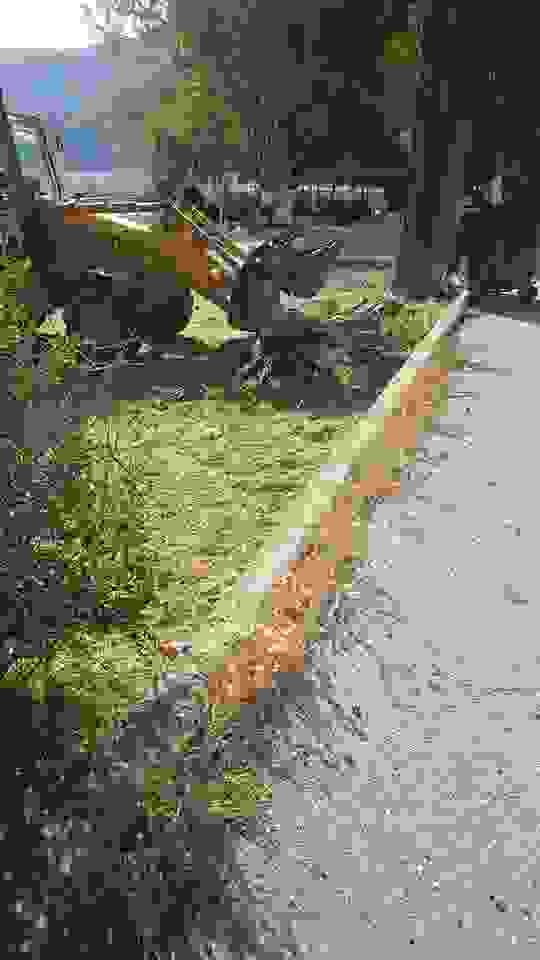 sam11