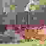 sam11