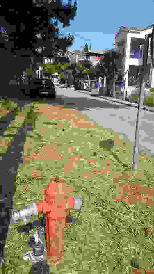 sam1