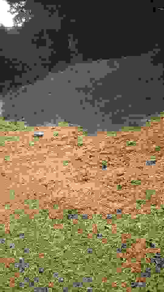 sam12
