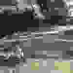 sam14