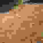 sam15