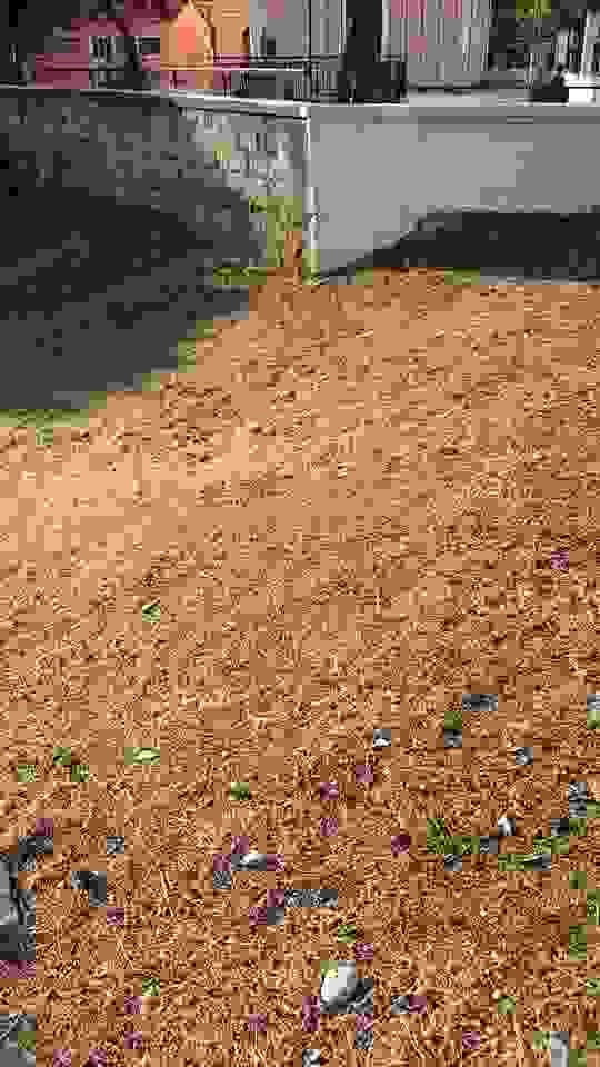 sam15