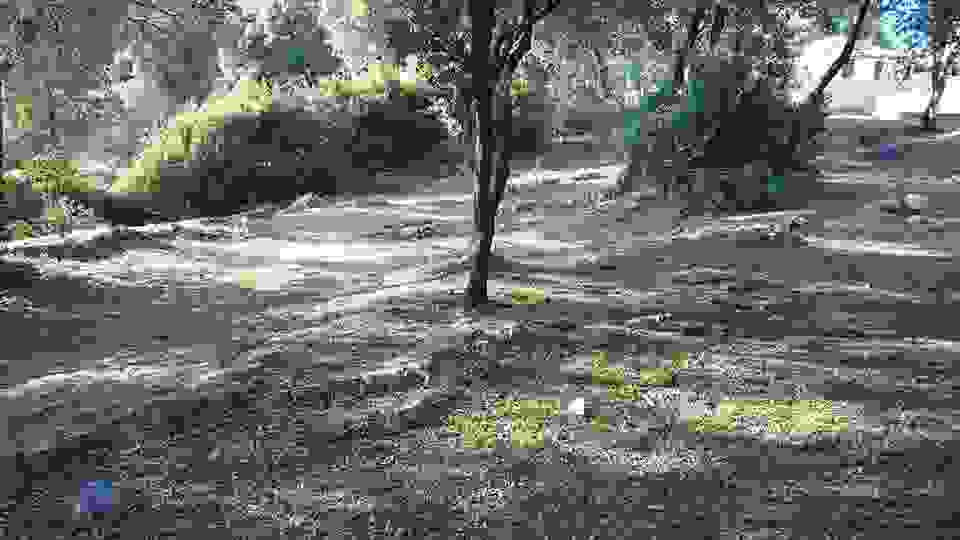sam16
