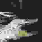 sam17