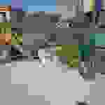sam2