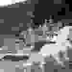 sam2