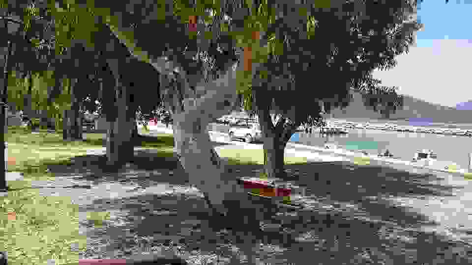 sam2