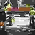 sam3