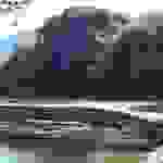sam30