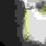 sam3