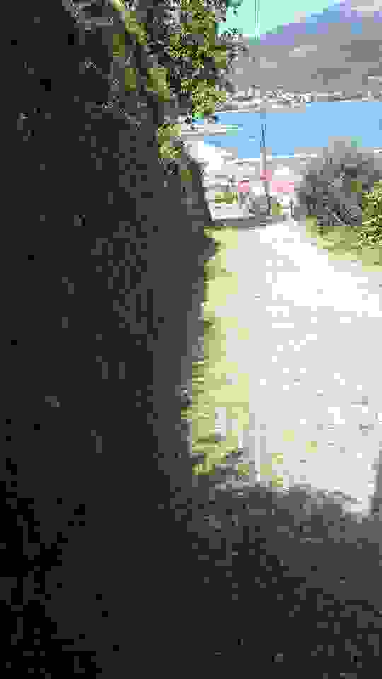 sam3
