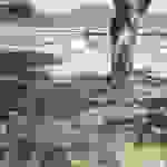sam3