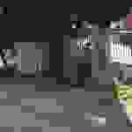 sam3