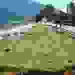 sam3