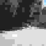 sam4