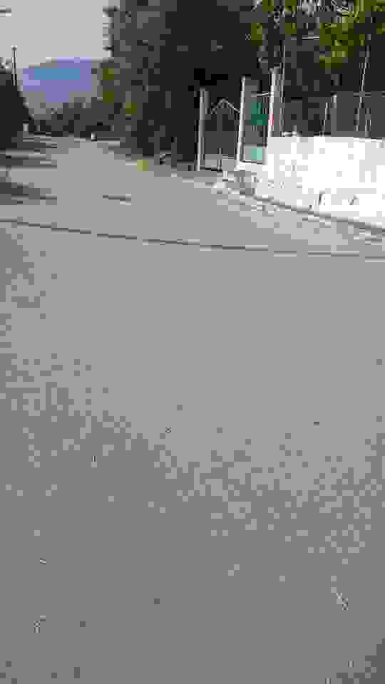 sam5