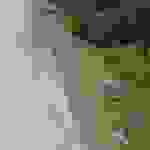 sam5
