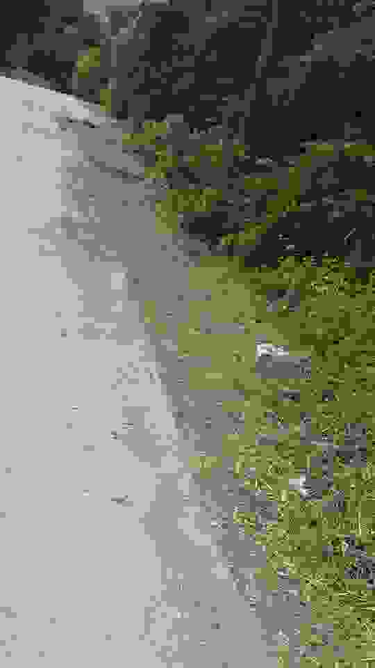sam5