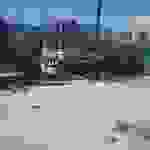sam7