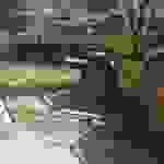 sam8