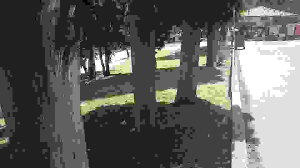 sam8