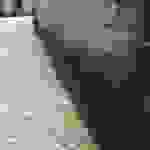 sam8