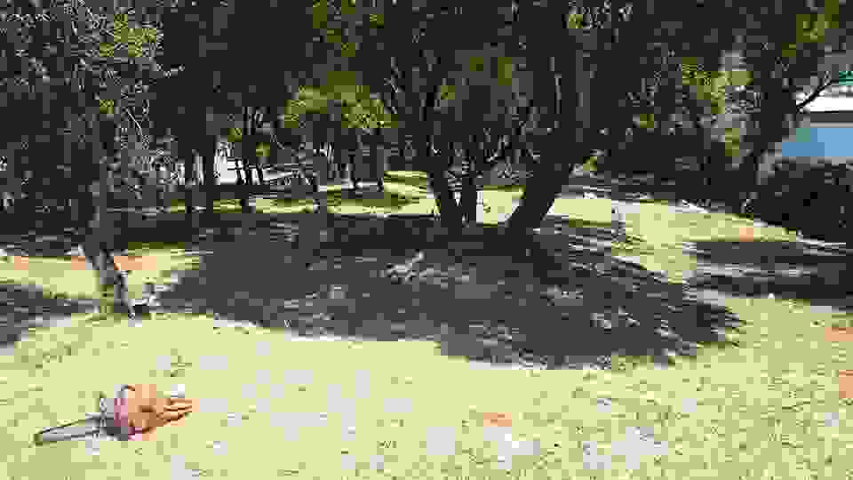 sam9