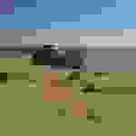 sk