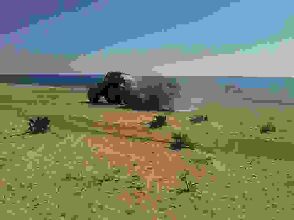 sk