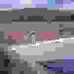 sk1