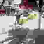 sk