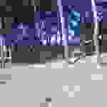 sk4
