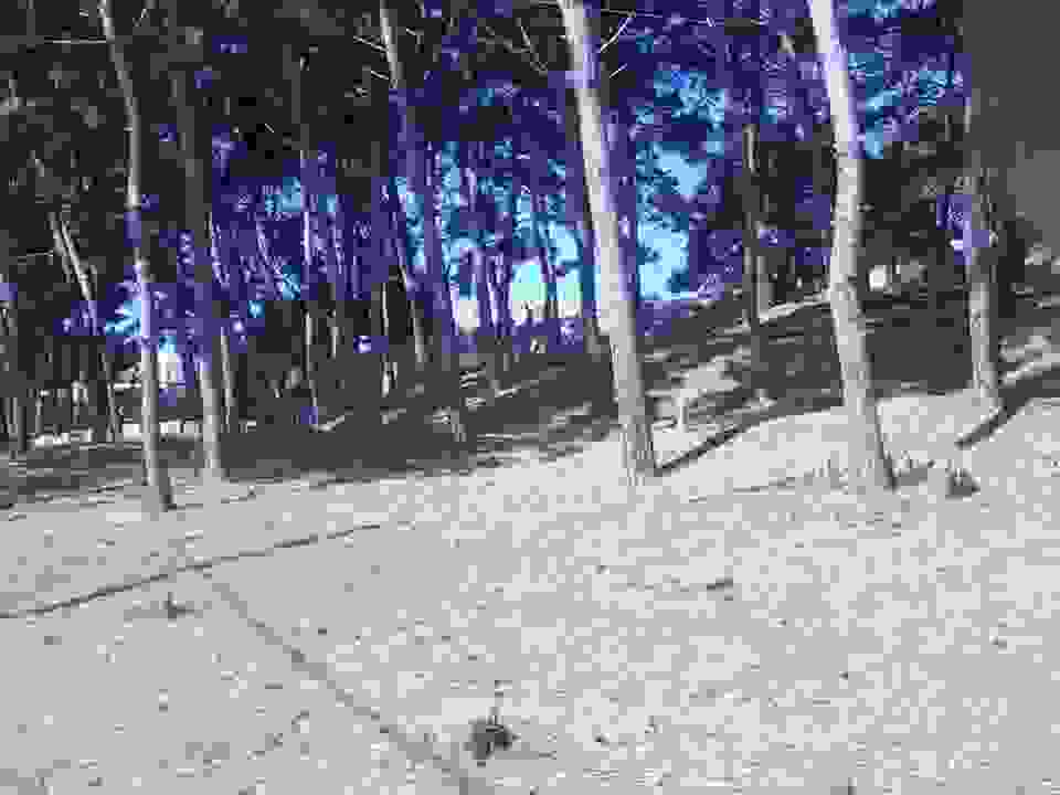 sk4