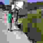 sk5