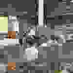 tei2