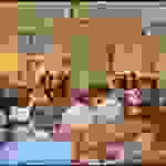 tz2