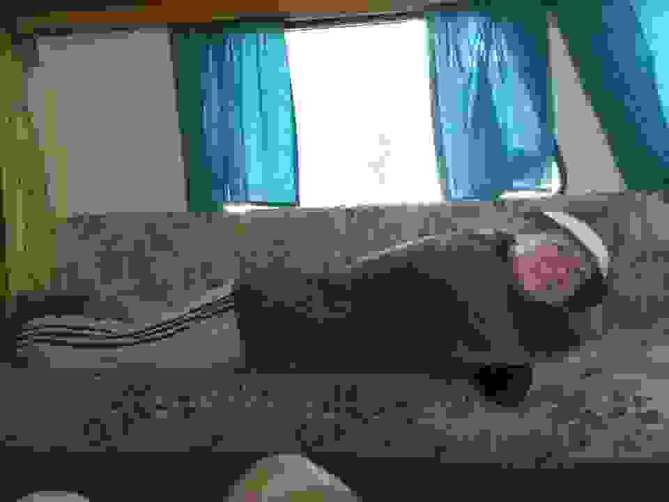 van2