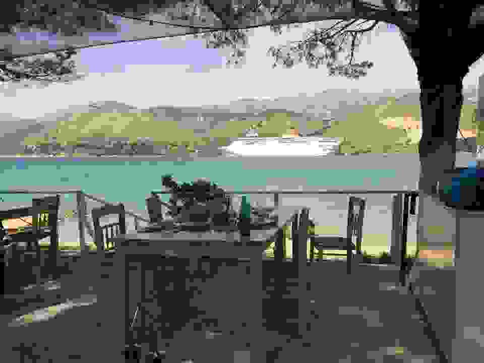 vin1