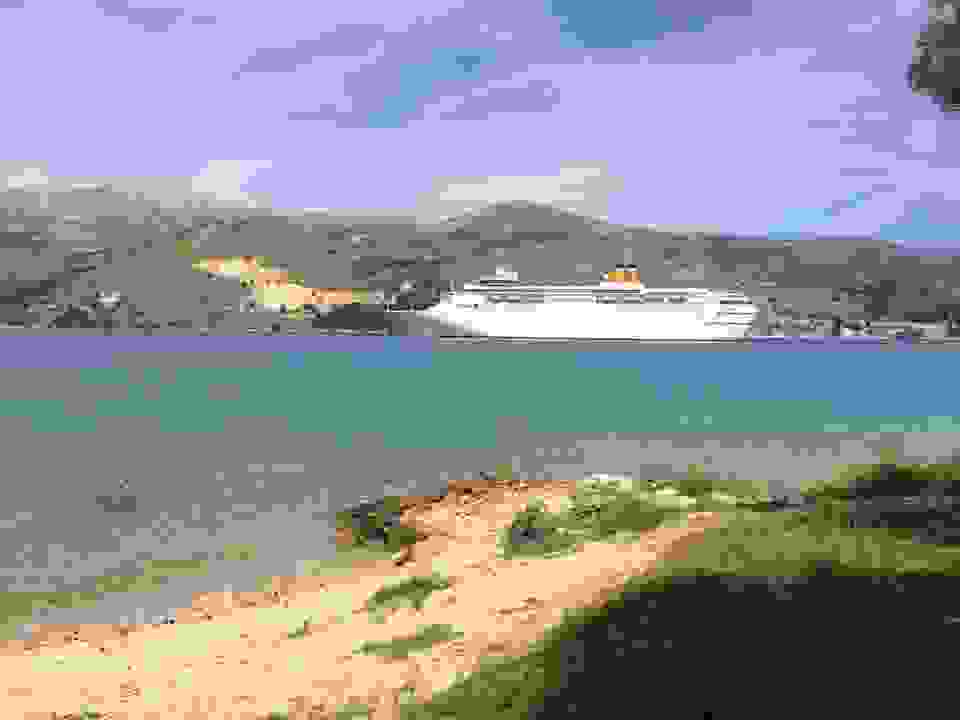 vin2